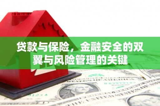 岱岳贷款与保险，金融安全的双翼与风险管理的关键
