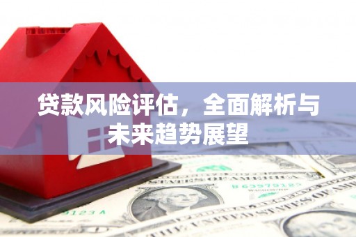 静宁贷款风险评估，全面解析与未来趋势展望