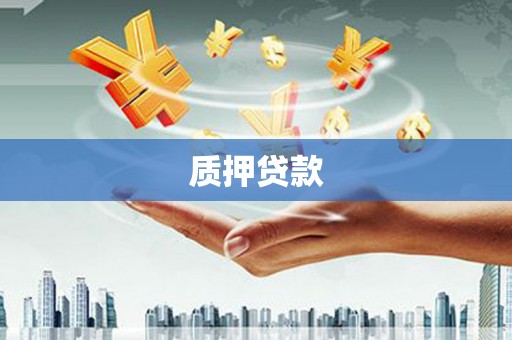 罗山质押贷款