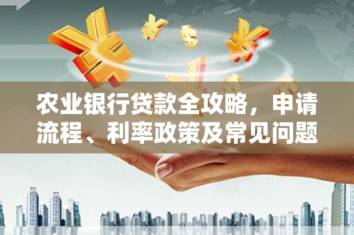 盐山农业银行贷款全攻略，申请流程、利率政策及常见问题解析