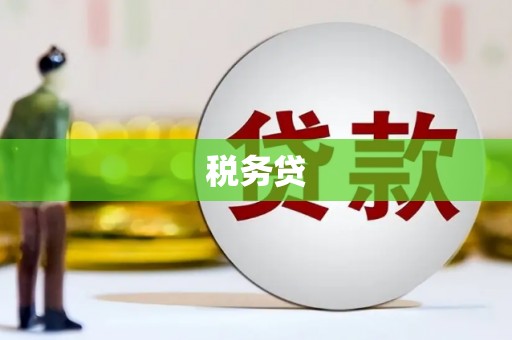 景东税务贷
