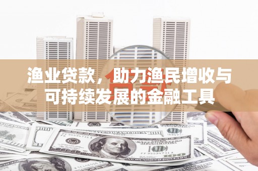 东阿渔业贷款，助力渔民增收与可持续发展的金融工具