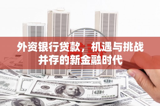 白河外资银行贷款，机遇与挑战并存的新金融时代