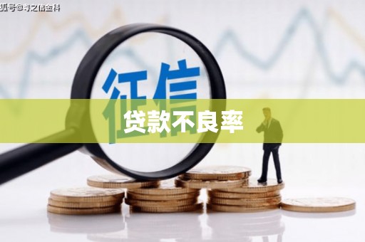 鹤庆贷款不良率