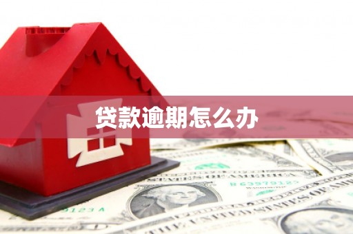 碌曲贷款逾期怎么办