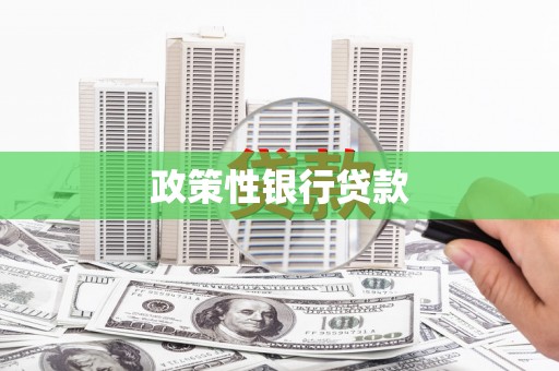 响水政策性银行贷款