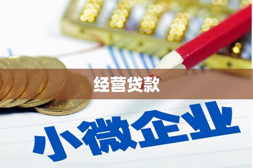 普湾新区经营贷款