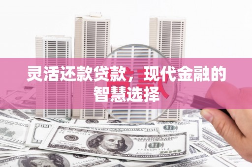 西海岸灵活还款贷款，现代金融的智慧选择