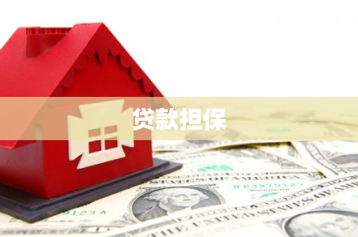 泰山贷款担保