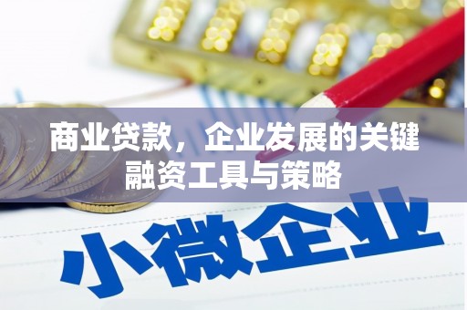 石鼓商业贷款，企业发展的关键融资工具与策略