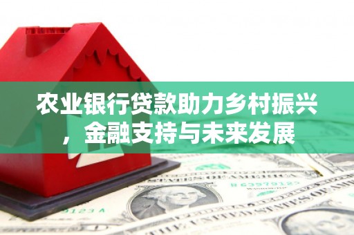 锡林郭勒农业银行贷款助力乡村振兴，金融支持与未来发展