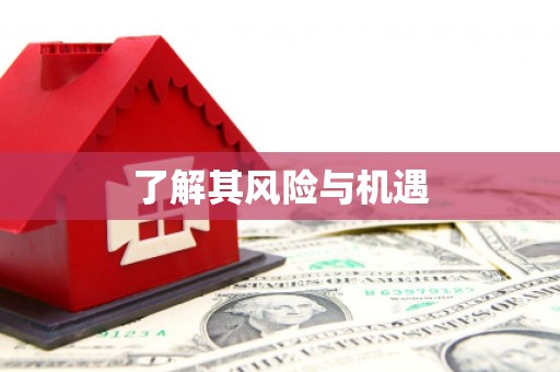 万丹了解其风险与机遇