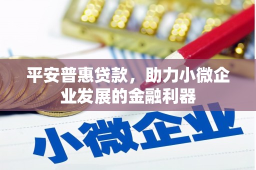 东胜平安普惠贷款，助力小微企业发展的金融利器