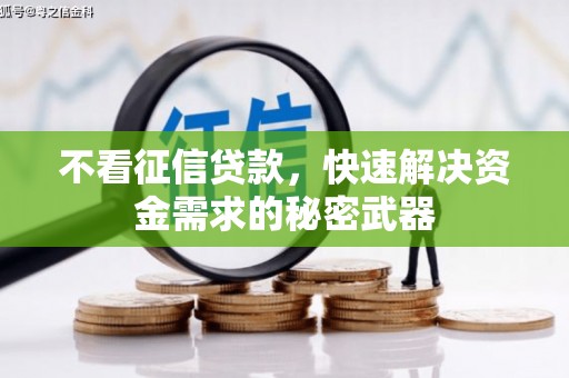 宝山不看征信贷款，快速解决资金需求的秘密武器