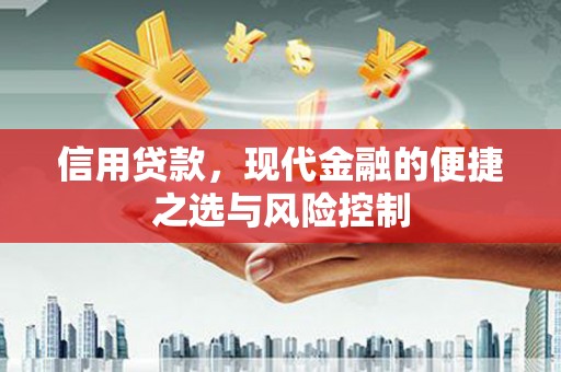 凤台信用贷款，现代金融的便捷之选与风险控制