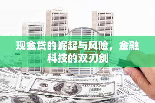 漳州现金贷的崛起与风险，金融科技的双刃剑