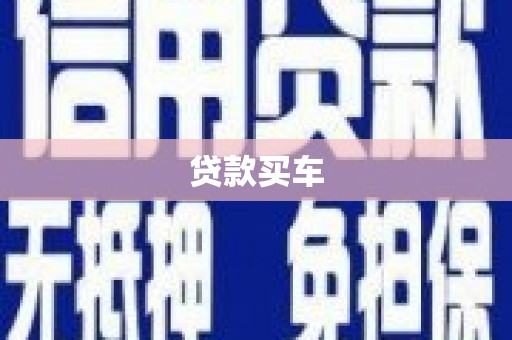 泽普贷款买车