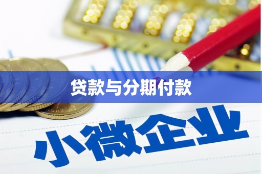 沙雅贷款与分期付款