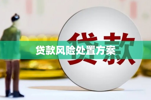 修文贷款风险处置方案