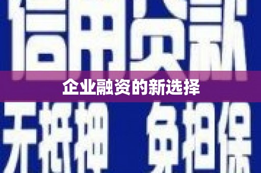 国姓企业融资的新选择