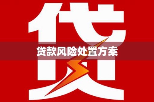 太保贷款风险处置方案