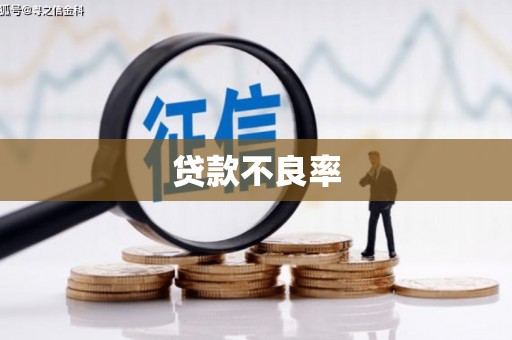 汶川贷款不良率