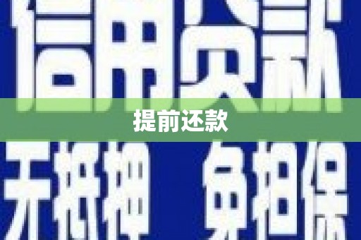 布袋提前还款