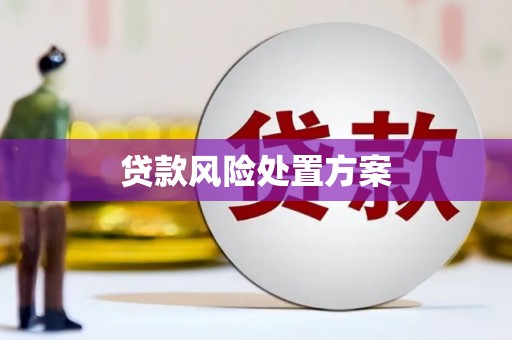 红塔贷款风险处置方案