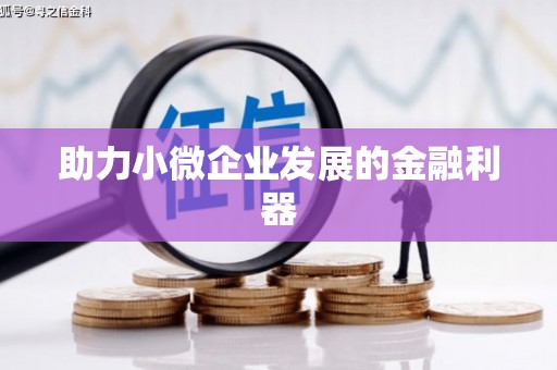 礼县助力小微企业发展的金融利器