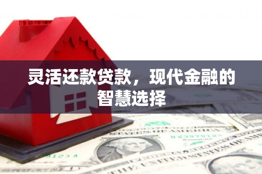 塘厦灵活还款贷款，现代金融的智慧选择