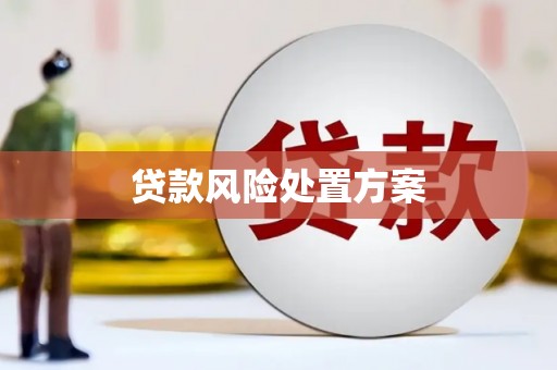 枝江贷款风险处置方案