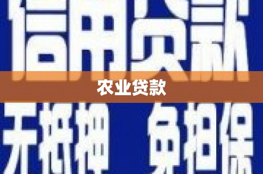 河南农业贷款