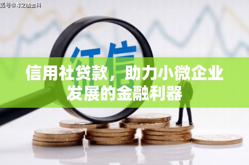 夏河信用社贷款，助力小微企业发展的金融利器