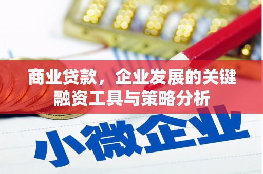 梁山商业贷款，企业发展的关键融资工具与策略分析