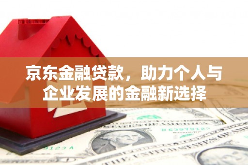 松江京东金融贷款，助力个人与企业发展的金融新选择