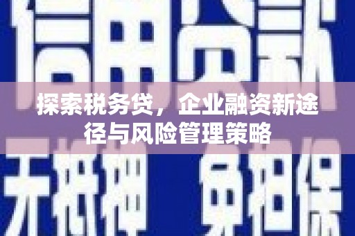 阜新探索税务贷，企业融资新途径与风险管理策略