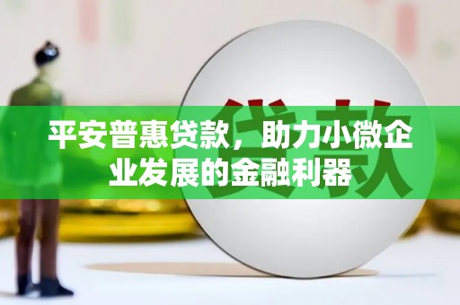岷县平安普惠贷款，助力小微企业发展的金融利器