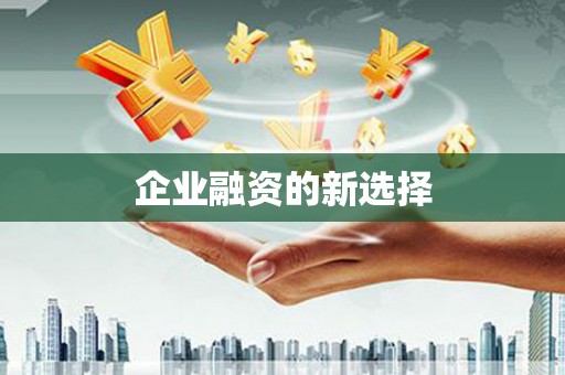 长寿企业融资的新选择