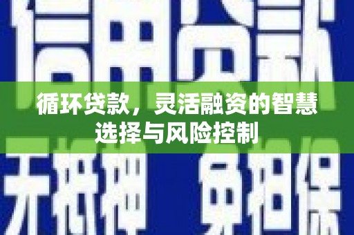 兰屿循环贷款，灵活融资的智慧选择与风险控制