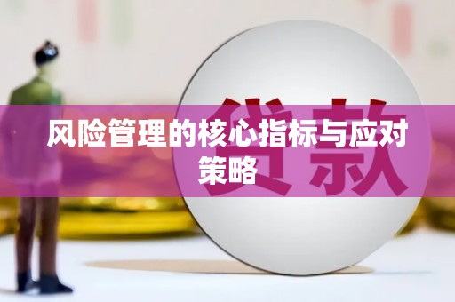 启东风险管理的核心指标与应对策略