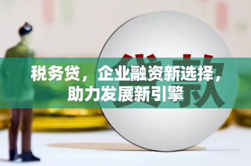 洮南税务贷，企业融资新选择，助力发展新引擎
