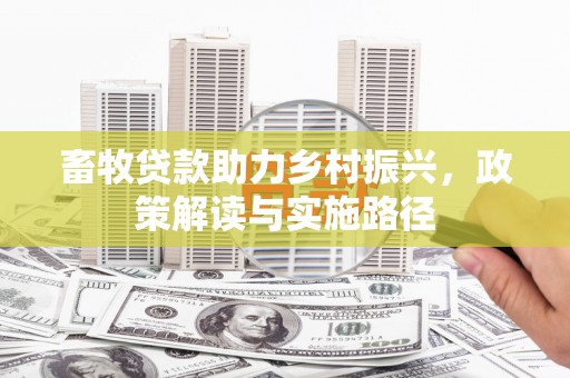 托克托畜牧贷款助力乡村振兴，政策解读与实施路径