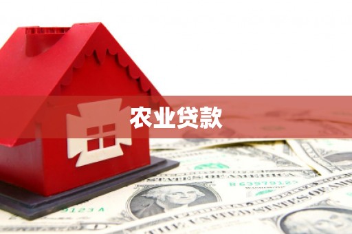 桃园农业贷款
