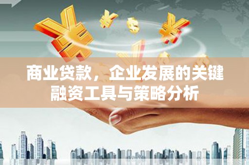将军商业贷款，企业发展的关键融资工具与策略分析