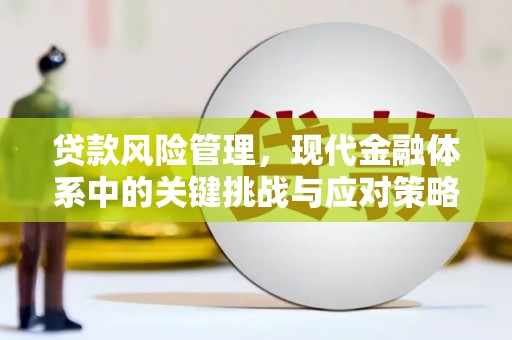 阳信贷款风险管理，现代金融体系中的关键挑战与应对策略