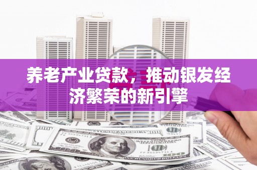 合山养老产业贷款，推动银发经济繁荣的新引擎