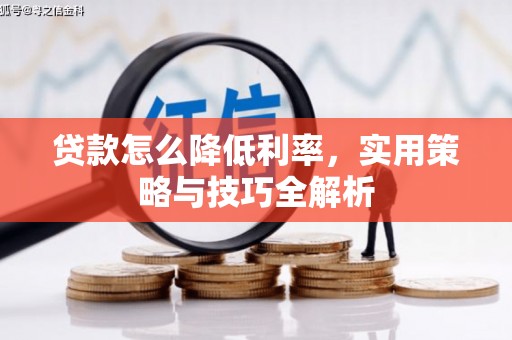 新邱贷款怎么降低利率，实用策略与技巧全解析