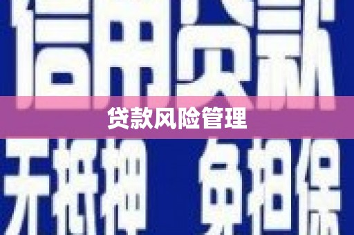 湖北贷款风险管理