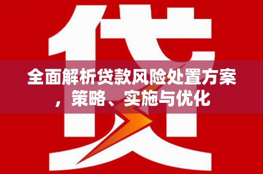 方正全面解析贷款风险处置方案，策略、实施与优化