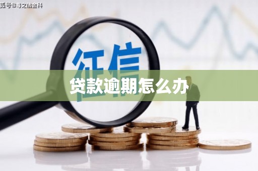 宜兰贷款逾期怎么办